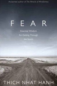 Fear : Essential Wisdom for Getting Through The Storm