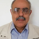 Mazen Arafa