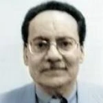 Samer Karam