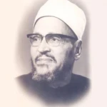 Abdel Hamed Mahmoud